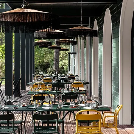 70 Hectares... Et L'ocean